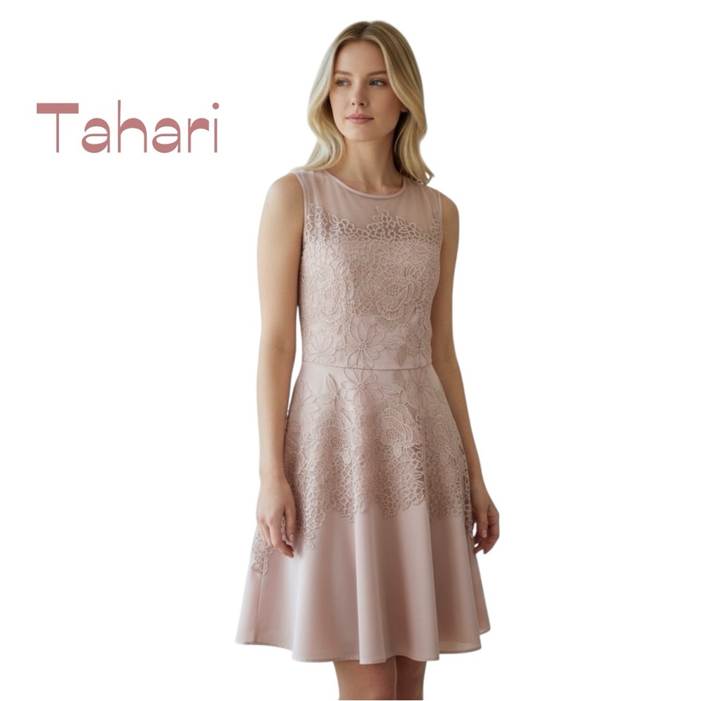 Tahari Sheer Pink Silver Embroidered Sleeveless Dress NWOT Size 6